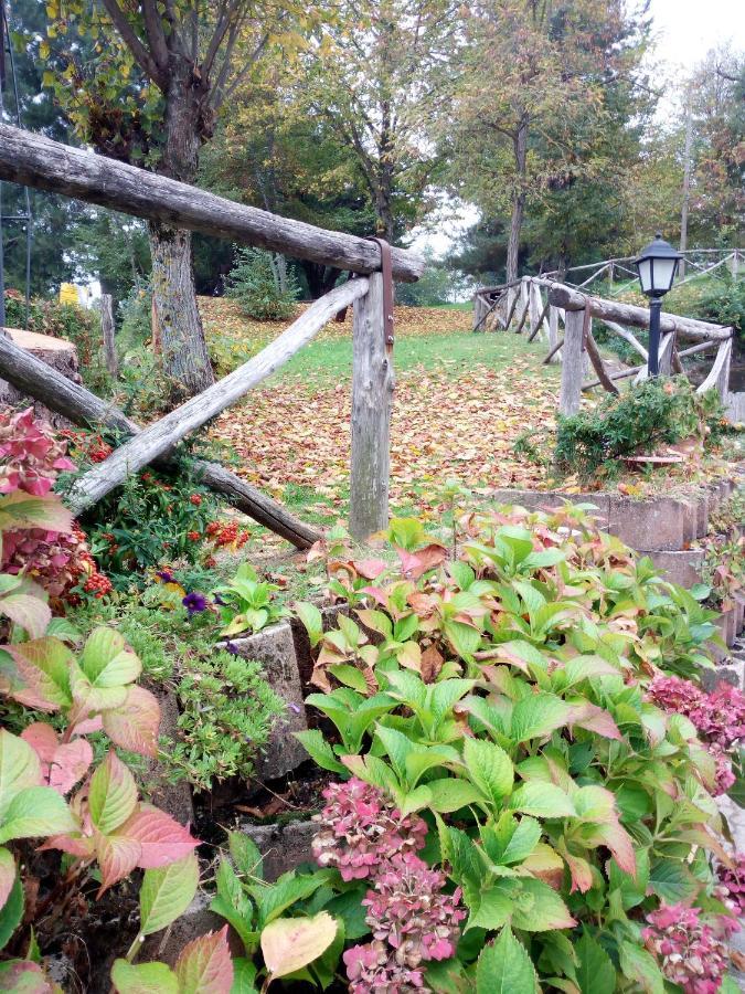 Il Castagno Bed & Breakfast Montemonaco Bagian luar foto