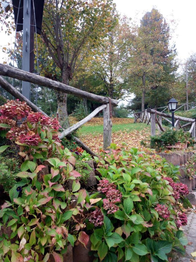 Il Castagno Bed & Breakfast Montemonaco Bagian luar foto